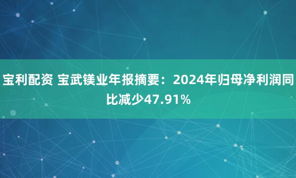 宝利配资 宝武镁业年报摘要：2024年归母净利润同比减少47.91%