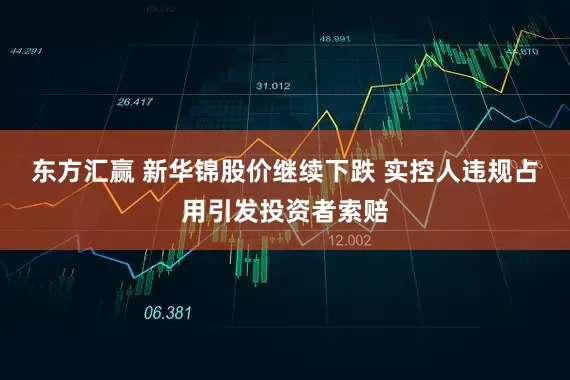 东方汇赢 新华锦股价继续下跌 实控人违规占用引发投资者索赔
