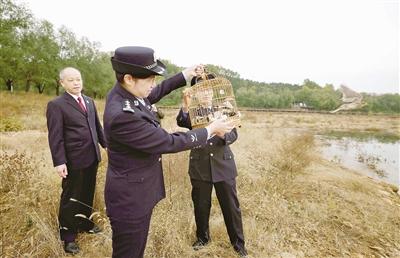 博远策略 百余只野生保护鸟类放归自然